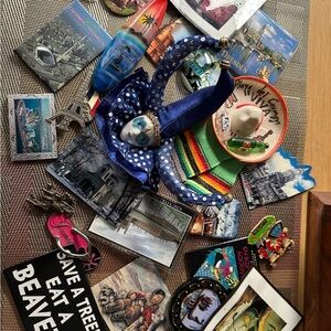 Refrigerator Magnets Lot